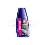 Car Wash Shampoo