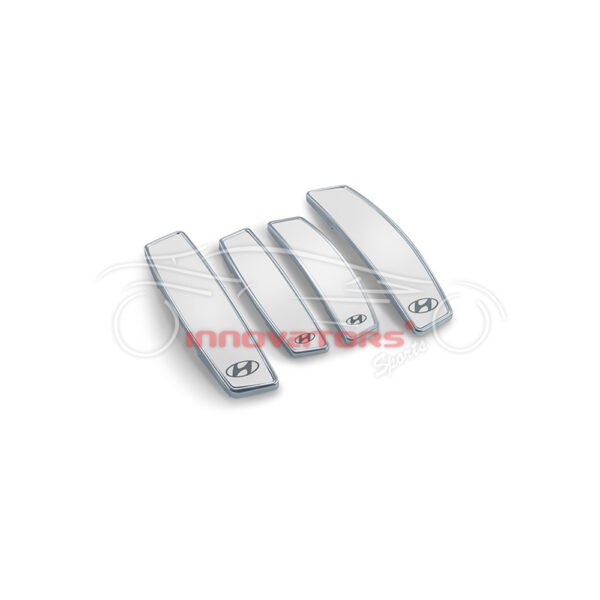 Hyundai Silver Door Guard