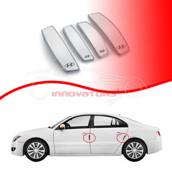 Hyundai Silver Door Guard